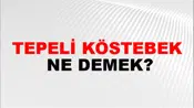 Tepeli Köstebek