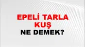 Tepeli Tarla Kuşu
