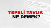 Tepeli Tavuk