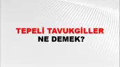 Tepeli Tavukgiller