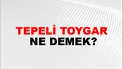Tepeli Toygar
