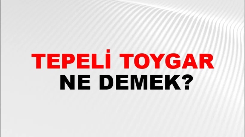 Tepeli Toygar Tepeli Toygar