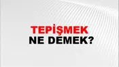 Tepişmek