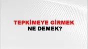 Tepkimeye Girmek