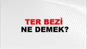 Ter Bezi