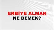 Terbiye Almak (Veya görmek)