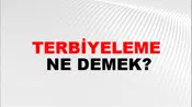 Terbiyeleme