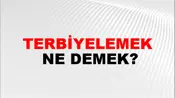 Terbiyelemek