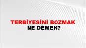 Terbiyesini Bozmak