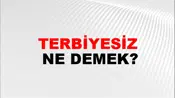 Terbiyesiz