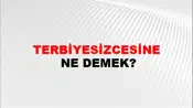 Terbiyesizcesine