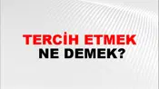 Tercih Etmek