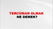Tercüman Olmak