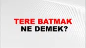 Tere Batmak
