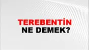 Terebentin