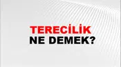 Terecilik