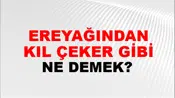 Tereyağından Kıl Çeker Gibi