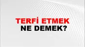 Terfi Etmek