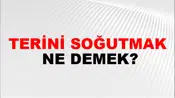 Terini Soğutmak