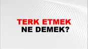 Terk Etmek