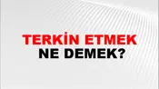 Terkin Etmek