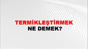 Termikleştirmek