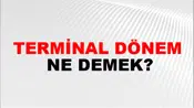 Terminal Dönem