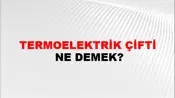 Termoelektrik Çifti