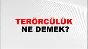 Terörcülük