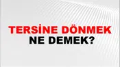 Tersine Dönmek