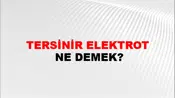 Tersinir Elektrot