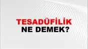 Tesadüfilik