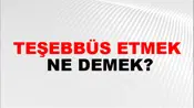Teşebbüs Etmek