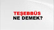 Teşebbüs