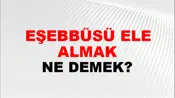 Teşebbüsü Ele Almak