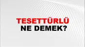 Tesettürlü