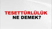 Tesettürlülük