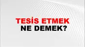 Tesis Etmek