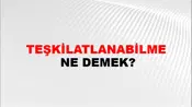Teşkilatlanabilme