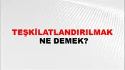 Teşkilatlandırılmak