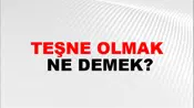 Teşne Olmak