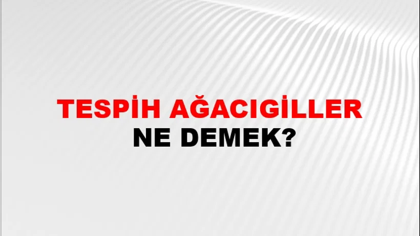 Tespih Ağacıgiller Tespih Ağacıgiller