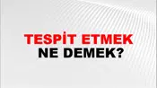 Tespit Etmek