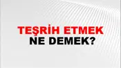 Teşrih Etmek
