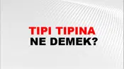 Tıpı Tıpına