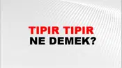 Tıpır Tıpır