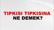 Tıpkısı Tıpkısına