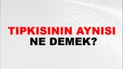 Tıpkısının Aynısı