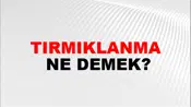 Tırmıklanma