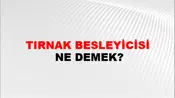 Tırnak Besleyicisi
